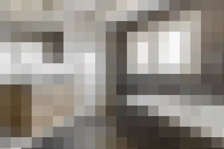 Beumeesweg 156 Alteveer thumbnail 35