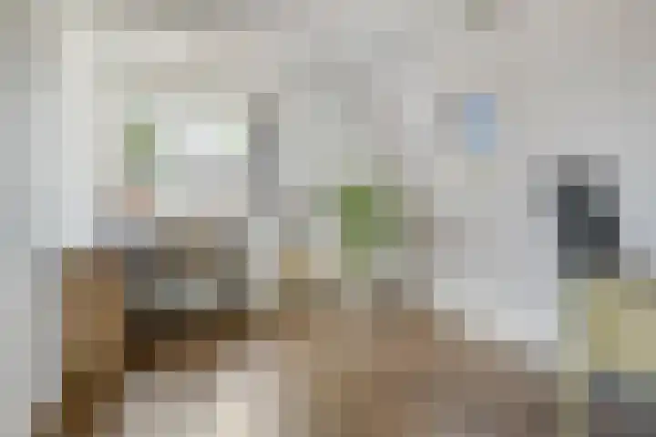 Beumeesweg 156 Alteveer thumbnail 37