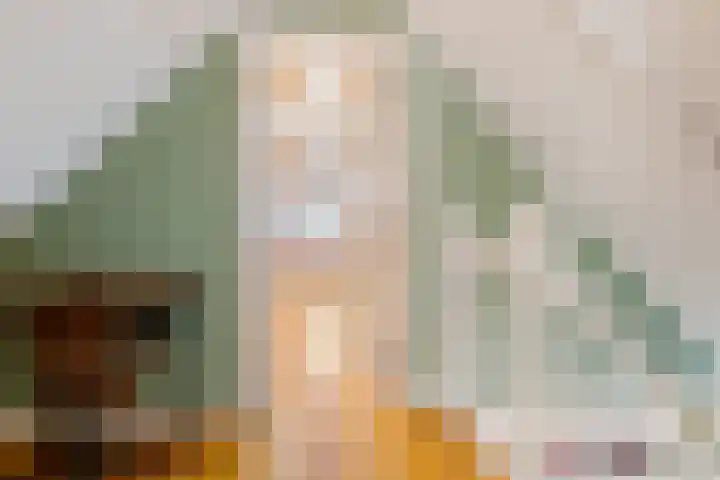 Beumeesweg 156 Alteveer thumbnail 38