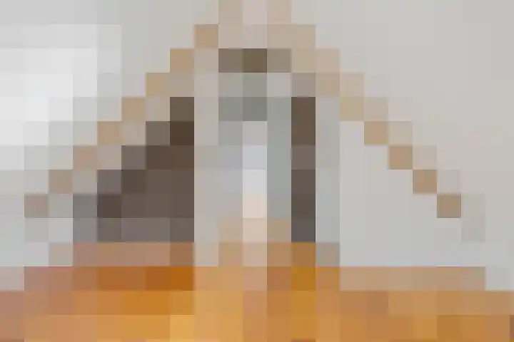 Beumeesweg 156 Alteveer thumbnail 39