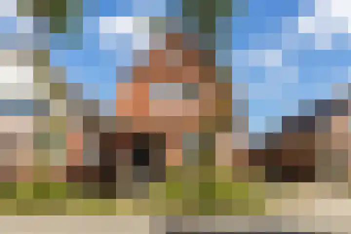 Beumeesweg 156 Alteveer thumbnail 4