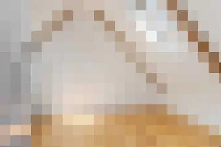 Beumeesweg 156 Alteveer thumbnail 41