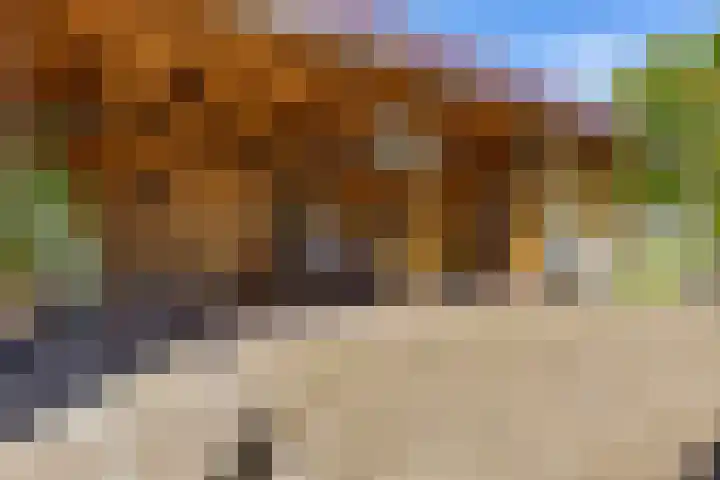 Beumeesweg 156 Alteveer thumbnail 43
