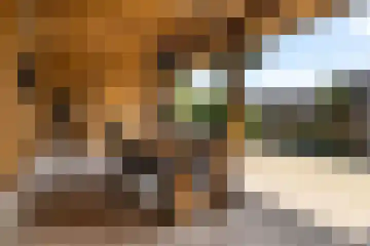 Beumeesweg 156 Alteveer thumbnail 44