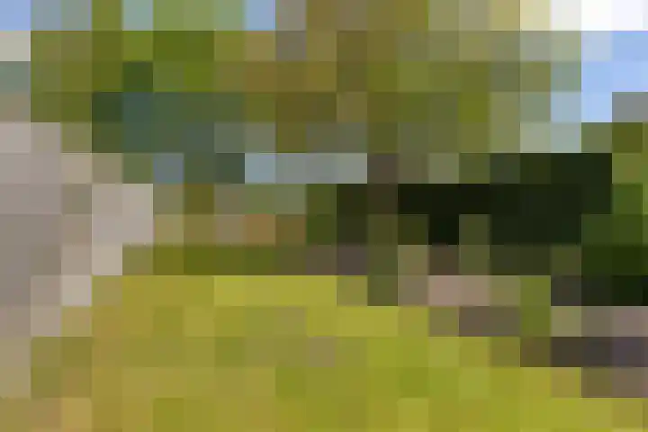 Beumeesweg 156 Alteveer thumbnail 45