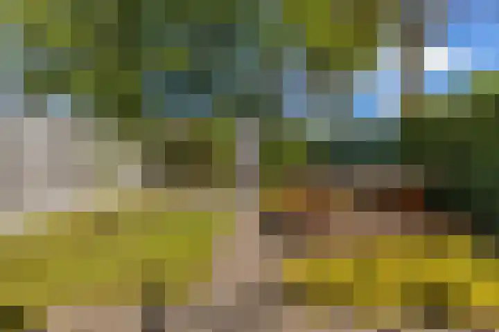 Beumeesweg 156 Alteveer thumbnail 46
