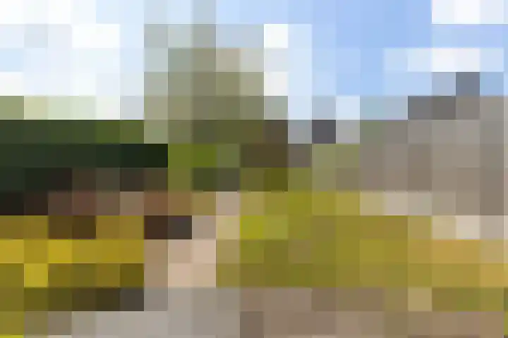 Beumeesweg 156 Alteveer thumbnail 47