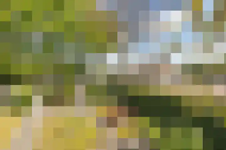 Beumeesweg 156 Alteveer thumbnail 48