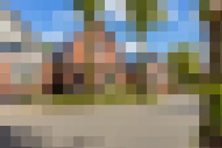 Beumeesweg 156 Alteveer thumbnail 5