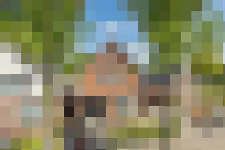 Beumeesweg 156 Alteveer thumbnail 6