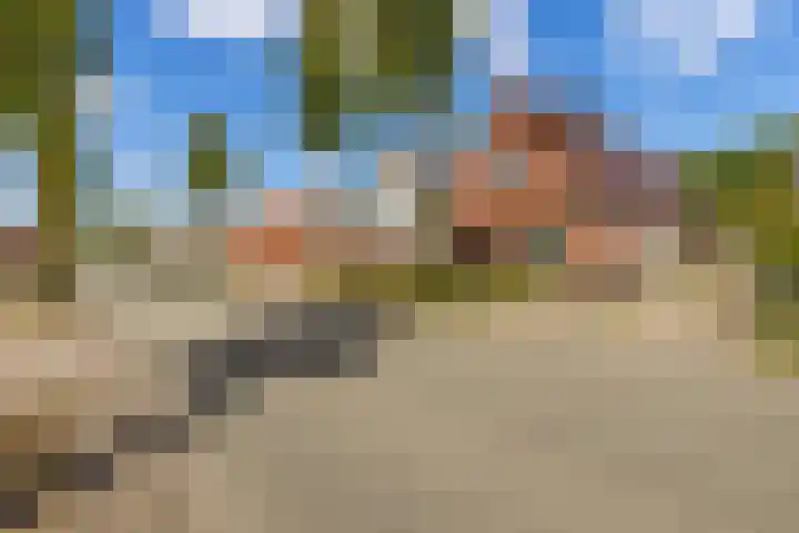 Beumeesweg 156 Alteveer thumbnail 7