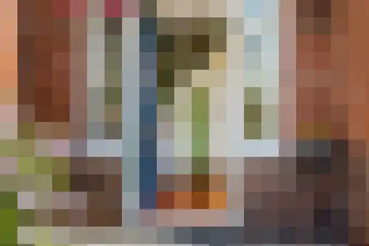 Beumeesweg 156 Alteveer thumbnail 8