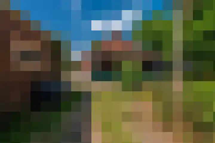 Beumeesweg 16 Alteveer thumbnail 12