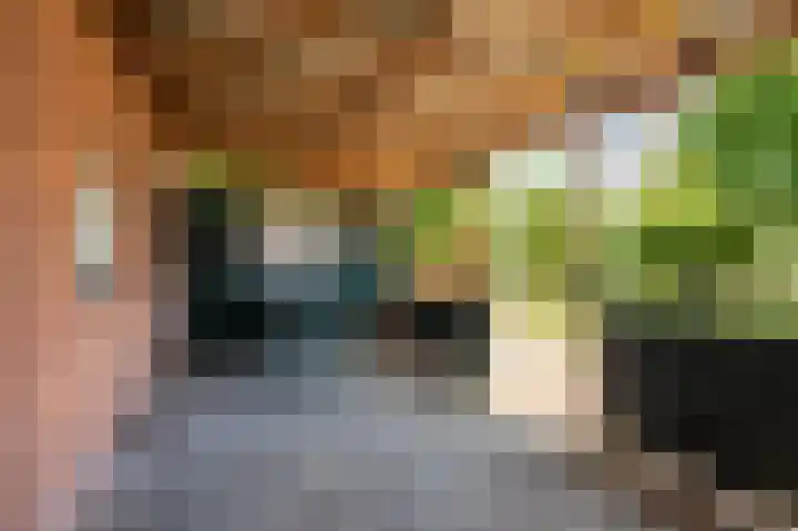 Beumeesweg 16 Alteveer thumbnail 13