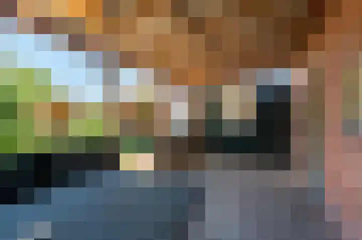 Beumeesweg 16 Alteveer thumbnail 14