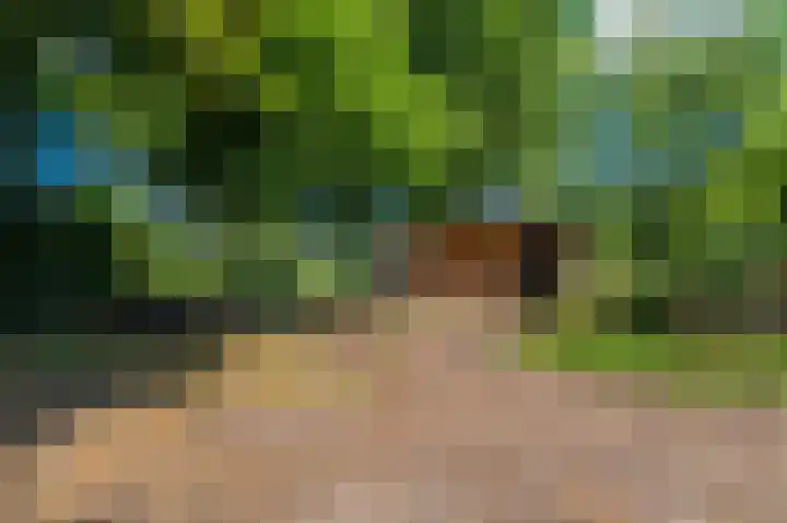 Beumeesweg 16 Alteveer thumbnail 15
