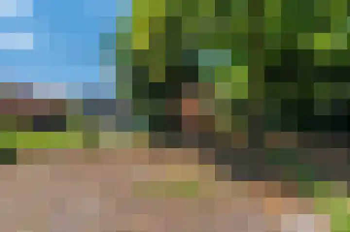 Beumeesweg 16 Alteveer thumbnail 16