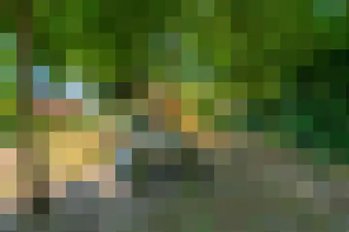 Beumeesweg 16 Alteveer thumbnail 17