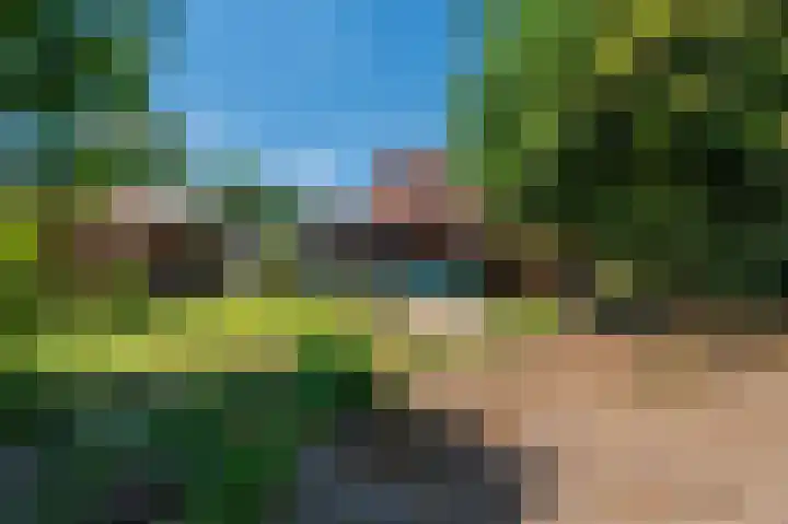 Beumeesweg 16 Alteveer thumbnail 18
