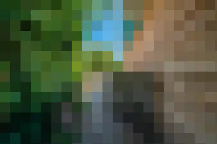 Beumeesweg 16 Alteveer thumbnail 19