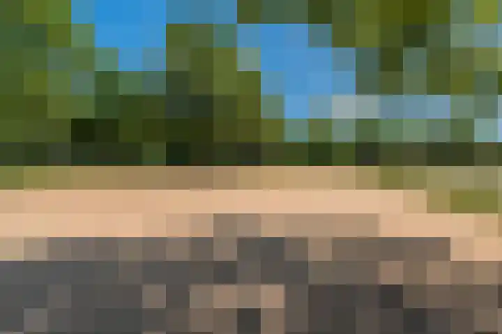 Beumeesweg 16 Alteveer thumbnail 23