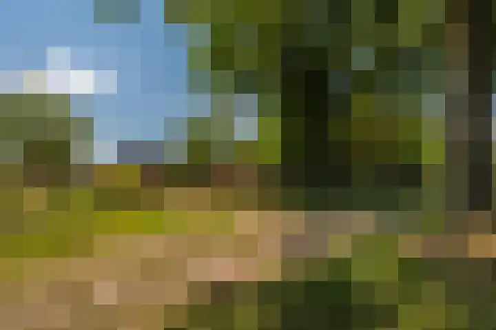 Beumeesweg 16 Alteveer thumbnail 24