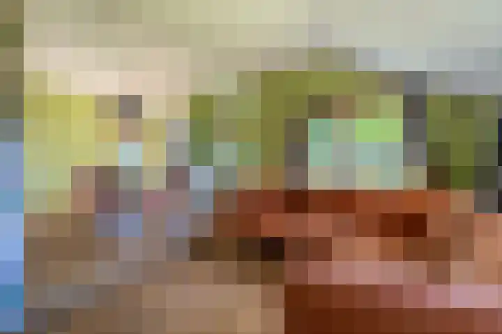 Beumeesweg 16 Alteveer thumbnail 25