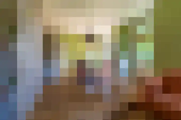 Beumeesweg 16 Alteveer thumbnail 26