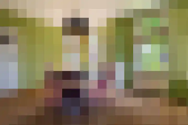 Beumeesweg 16 Alteveer thumbnail 27