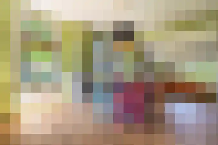 Beumeesweg 16 Alteveer thumbnail 28