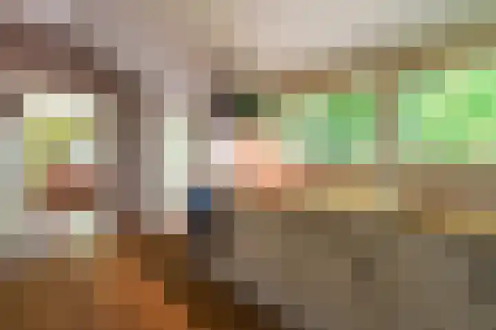 Beumeesweg 16 Alteveer thumbnail 29
