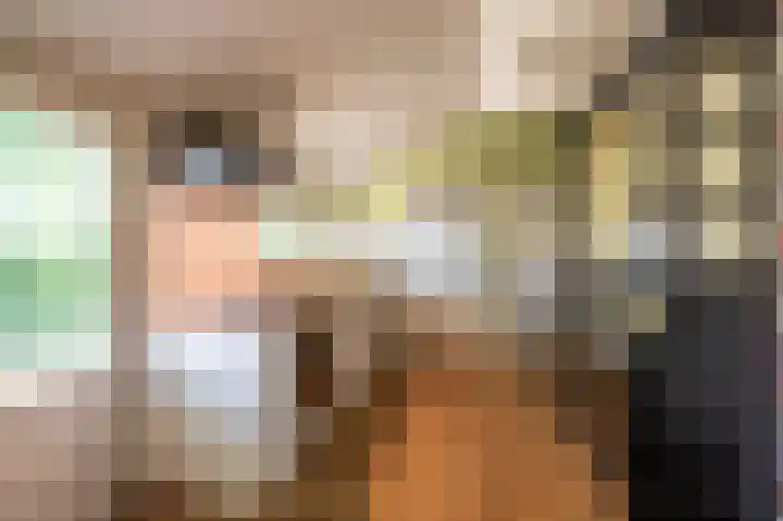 Beumeesweg 16 Alteveer thumbnail 31