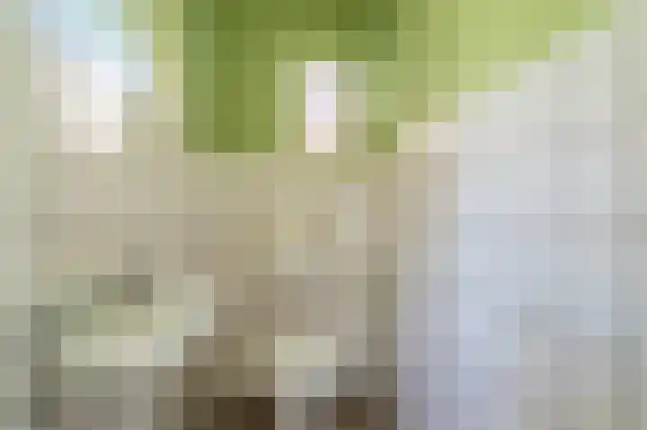 Beumeesweg 16 Alteveer thumbnail 33