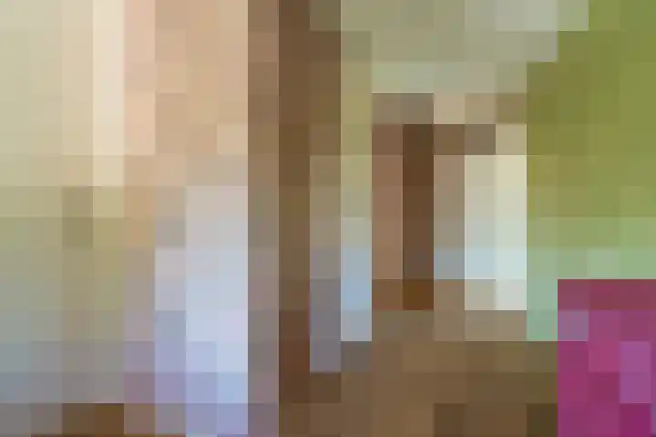 Beumeesweg 16 Alteveer thumbnail 35