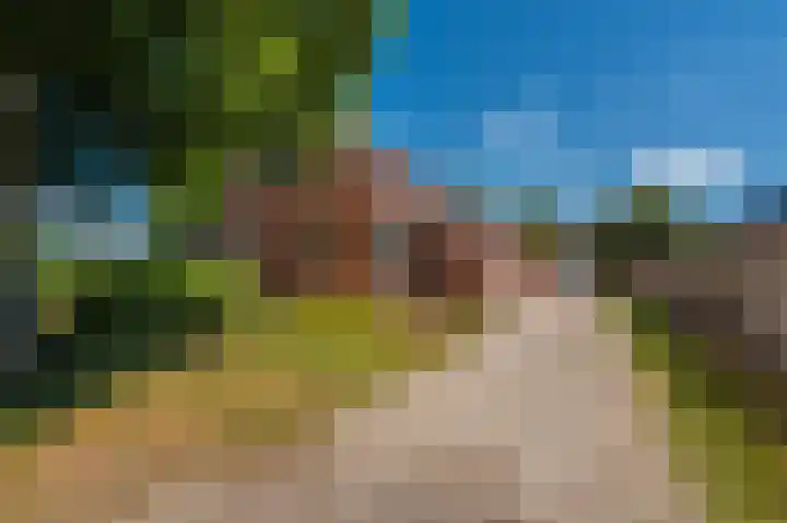 Beumeesweg 16 Alteveer thumbnail 4