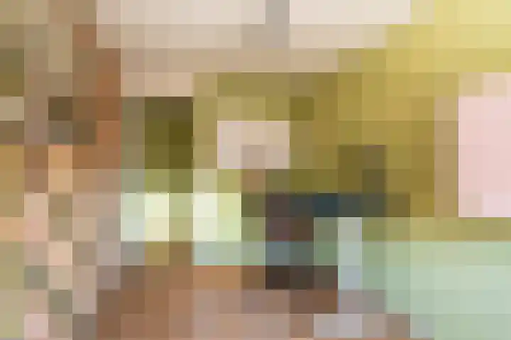 Beumeesweg 16 Alteveer thumbnail 42