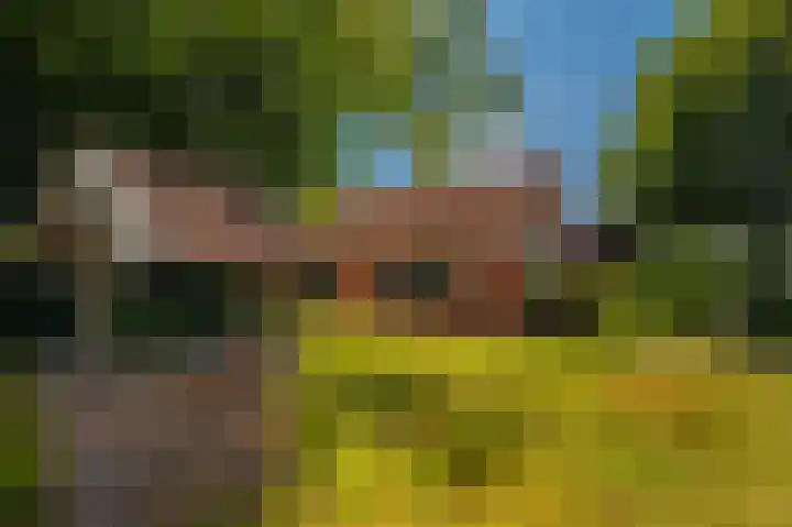 Beumeesweg 16 Alteveer thumbnail 5