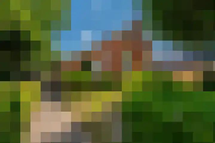 Beumeesweg 16 Alteveer thumbnail 6
