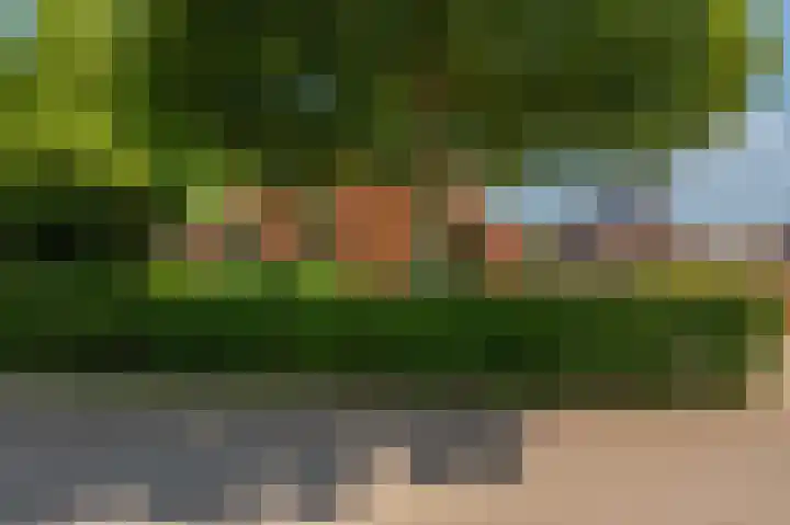 Beumeesweg 16 Alteveer thumbnail 7