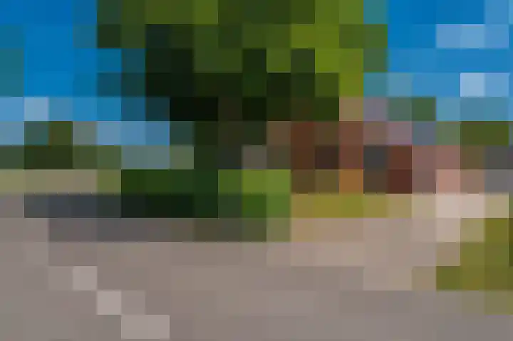 Beumeesweg 16 Alteveer thumbnail 8