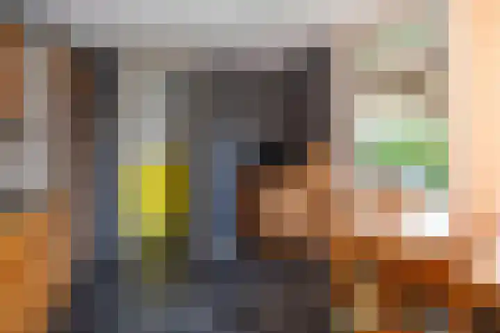 Beumeesweg 168 Alteveer thumbnail 11