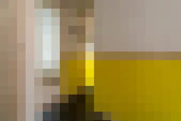 Beumeesweg 168 Alteveer thumbnail 12