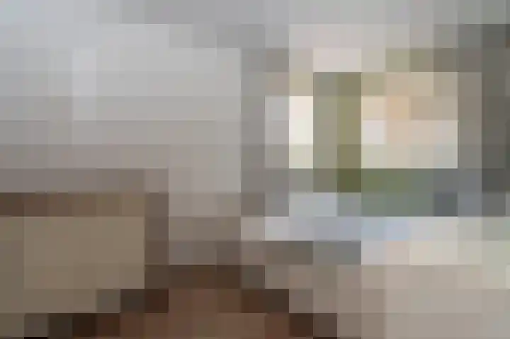 Beumeesweg 168 Alteveer thumbnail 13