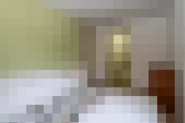 Beumeesweg 168 Alteveer thumbnail 15