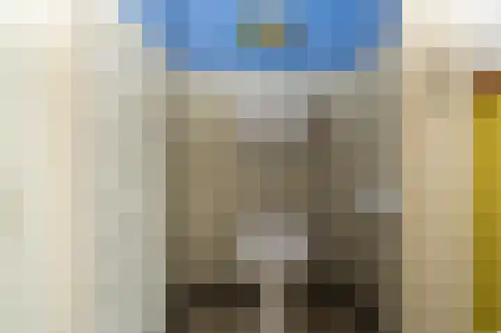 Beumeesweg 168 Alteveer thumbnail 18