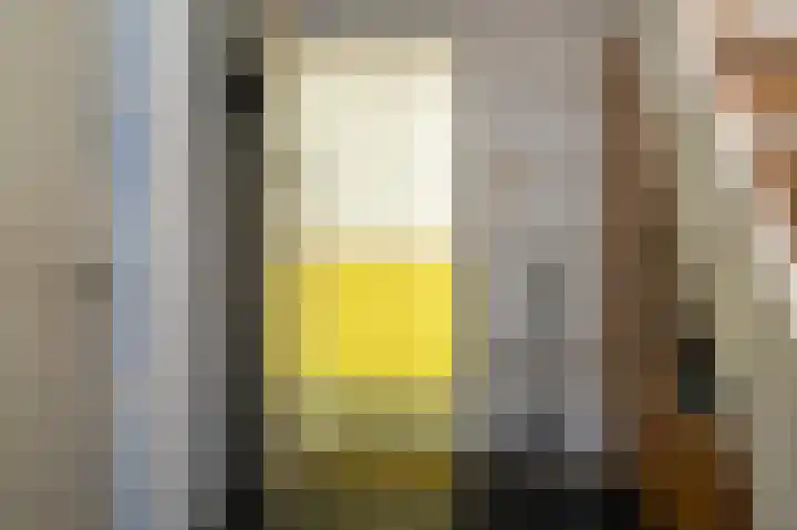 Beumeesweg 168 Alteveer thumbnail 20