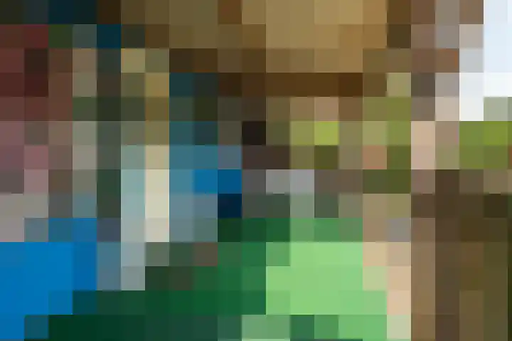 Beumeesweg 168 Alteveer thumbnail 27