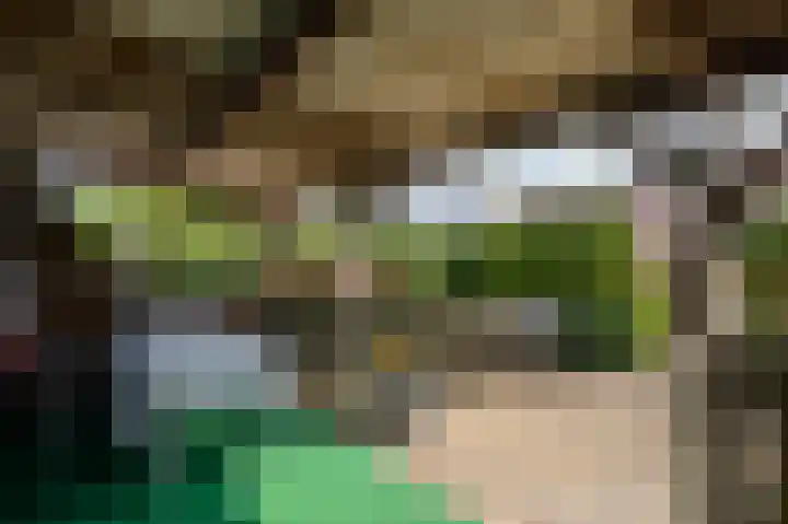 Beumeesweg 168 Alteveer thumbnail 28