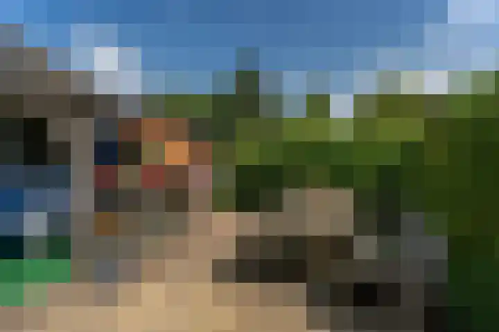 Beumeesweg 168 Alteveer thumbnail 29