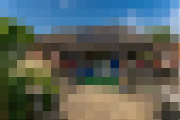 Beumeesweg 168 Alteveer thumbnail 30